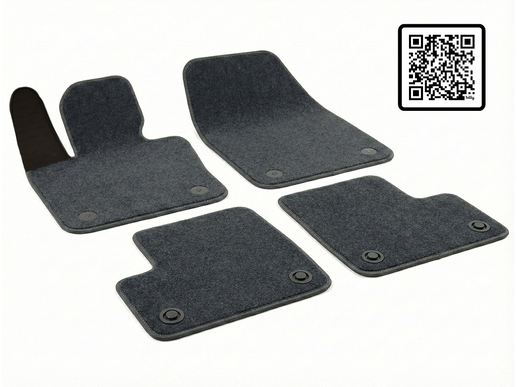 PT219695 500 X (2014-)-lapka_QR